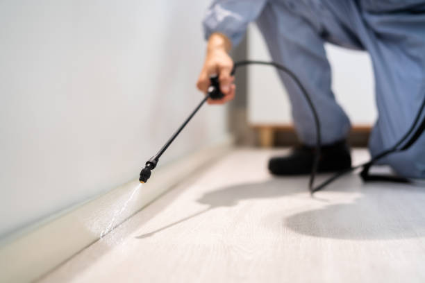 Licensed Fumigation Services service in Tahoka, TX - Nex Pest Control
