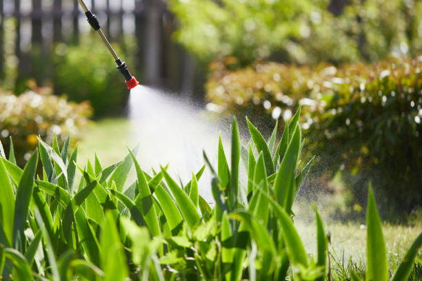 24/7 Emergency Fumigation Services experts in Tahoka, TX
