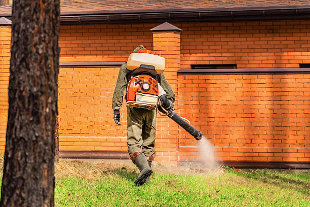 Trusted Ant Control service in Tahoka, TX - Nex Pest Control